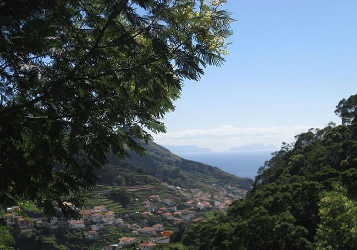 Randonnée dans la Vallée des Mimosas (Maroços) – Au départ de Funchal