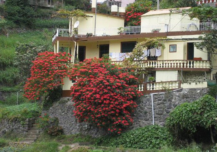 Randonnée dans la Vallée des Mimosas (Maroços) – Au départ de Funchal