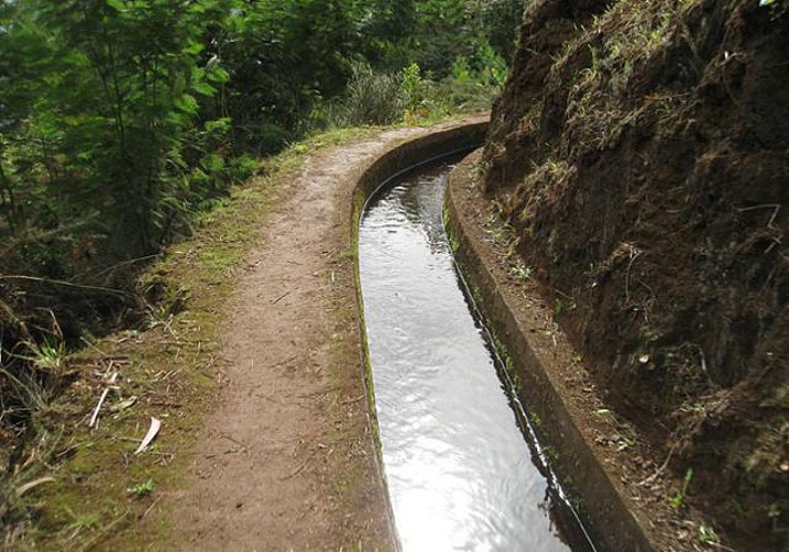 Randonnée dans la Vallée des Mimosas (Maroços) – Au départ de Funchal