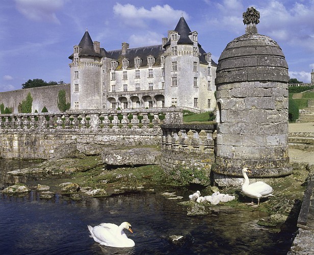 Chateau de la Roche Courbon - Saint-Porchaire