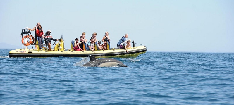 Croisière en zodiac sur la côte de l’Algarve avec observation de grottes et dauphins – Albufeira