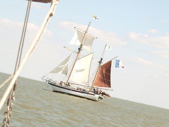 Sortie en mer (1h45) à bord du Corsaires de Retz