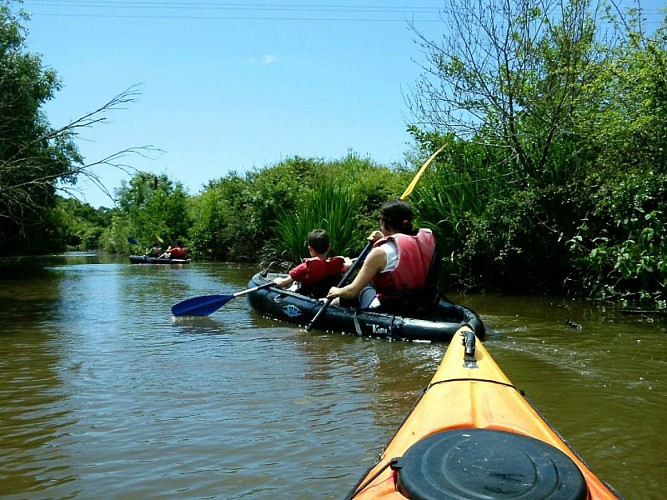Au fil de l'eau, sur le canal de Haute-Perche avec Kayak Nomade