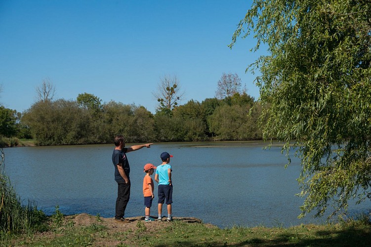 AIRE DE JEUX_PLAN D'EAU DE LA CÔTE