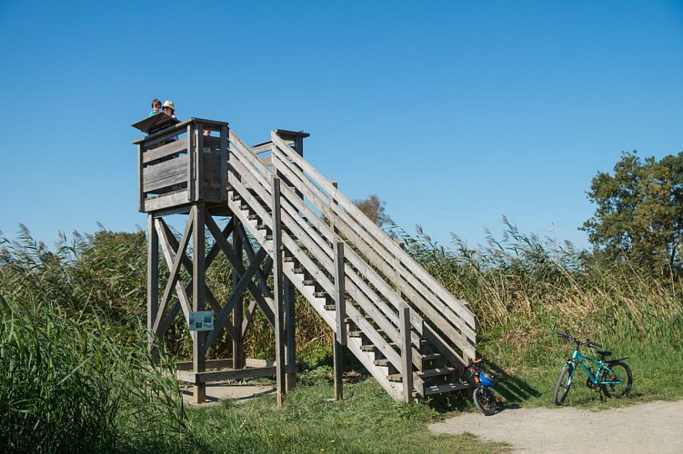 AIRE DE JEUX_PLAN D'EAU DE LA CÔTE