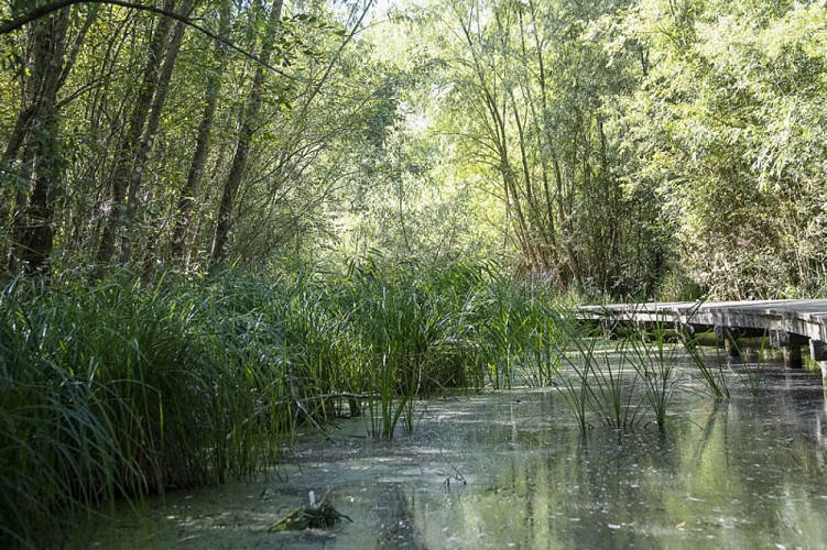 Le-Marais-des-Rinceaux-Valencisse