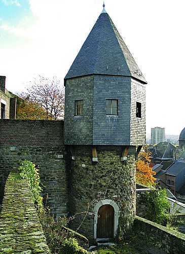 La tour des Vieux-Joncs (Liège insolite)