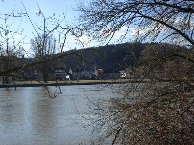 Bords de Meuse entre Houx et Yvoir