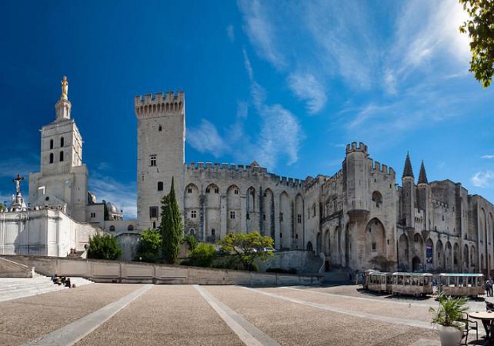 Guided visit of Avignon and Palais des Papes (Palace of the Popes)