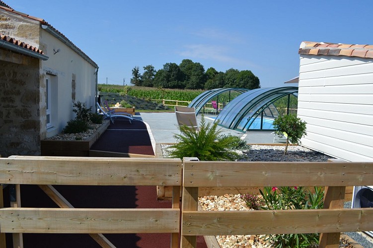 L'ÉDEN DE LA HAUTE FORÊT