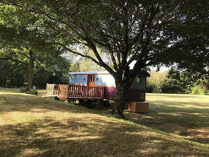 Domaine des Z'Ailés - Roulottes Tziganes