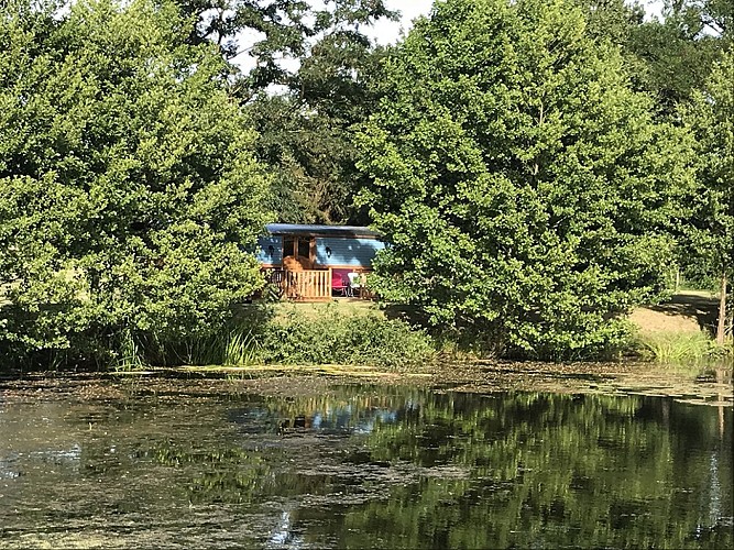 Domaine des Z'Ailés - Roulottes Tziganes