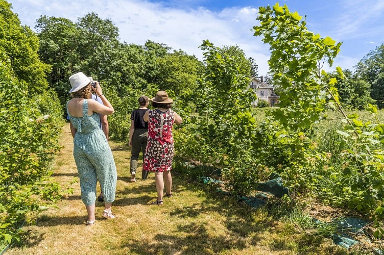 Château de la Tourlandry