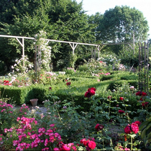 Le Jardin du Bois de l'Abbaye