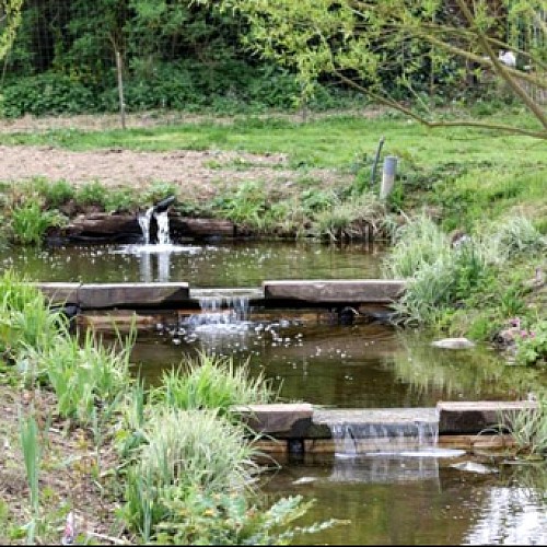 Le jardin d'eau et de poésie