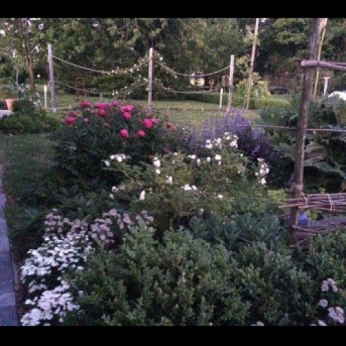 Le jardin Physis