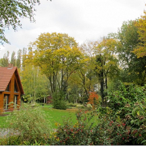 Le jardin les Hydrangéa