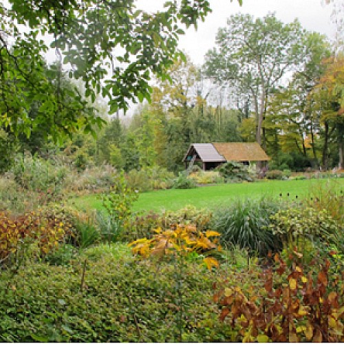 Le jardin les Hydrangéa