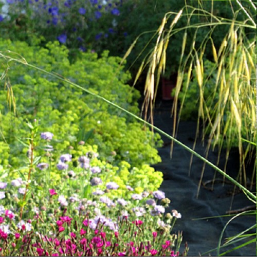 Le jardin de l'Orémice
