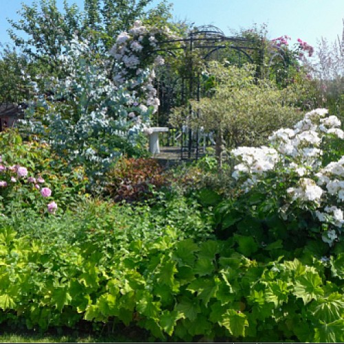 Demain au jardin