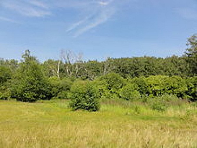 Terrils de l'Escarpelle (n°141) et de Pâturelles (n°139)