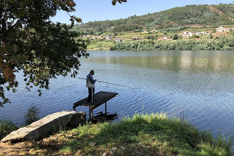 Pescastrelo do Ribeiriño de Prado de Miño