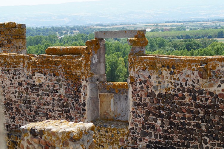 Vue sur la plaine du Forez, du château