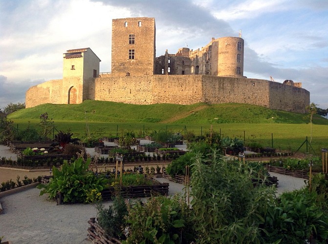 Vue sur la plaine du Forez, du château