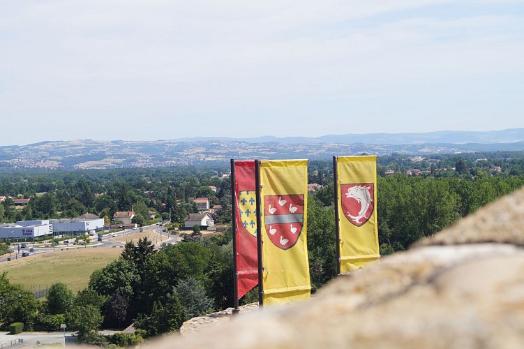 Vue sur la plaine du Forez, du château