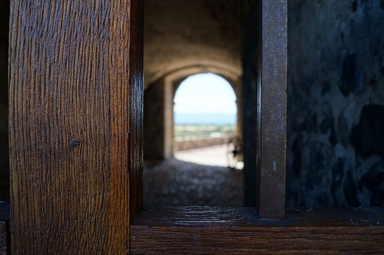 Château de Montrond les Bains