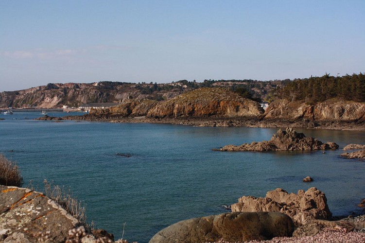 Pointe de la Heussaye - Erquy