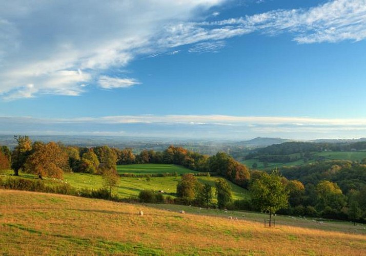 Escursione a Oxford, sulle Cotswolds e pranzo di Natale a Stratford-upon-Avon - partenza da Londra