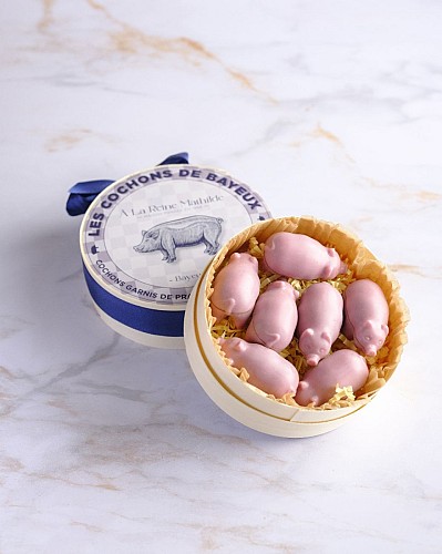 La-Reine-Mathilde-Bayeux-Avril2024-©photo911--54