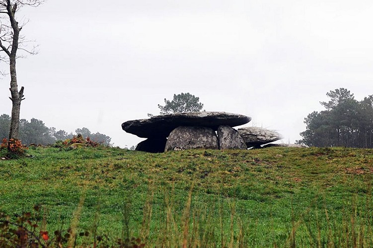 Pedra da Arca