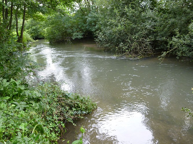 AAPPMA d'Ervy-le-Châtel