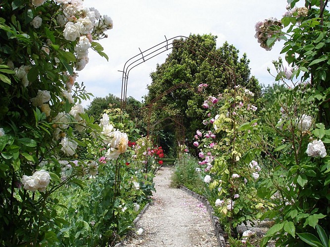 Jardin du Tilleul
