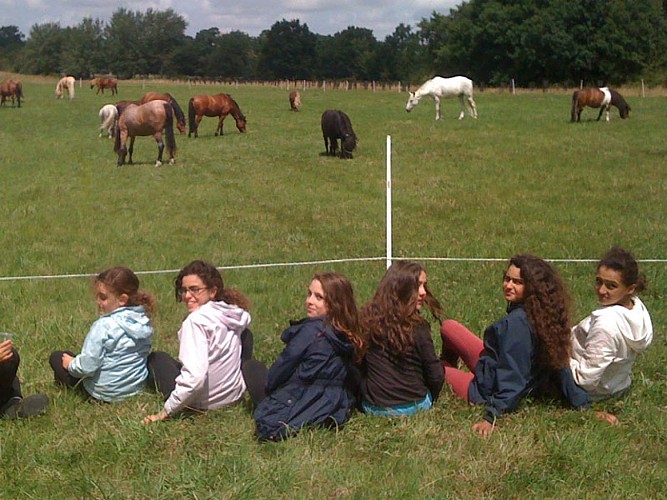 Centre Equestre du Mesnil d'Argences