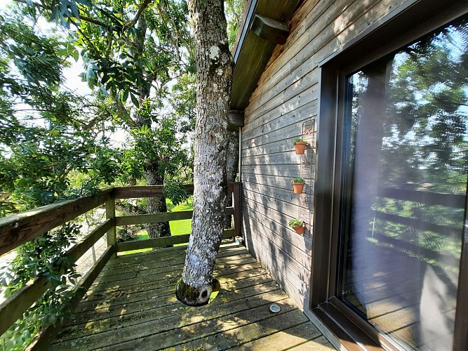 La Cabane l'Effrénée- Domaine Saint Roch