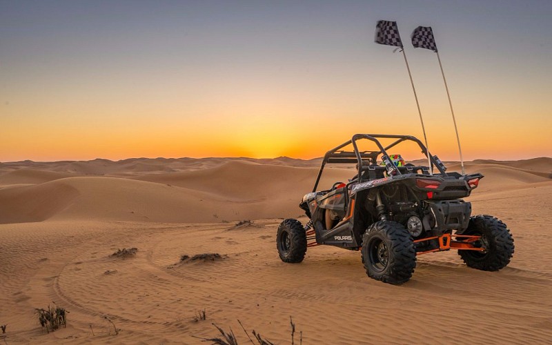 Morning Dune Buggy Safari