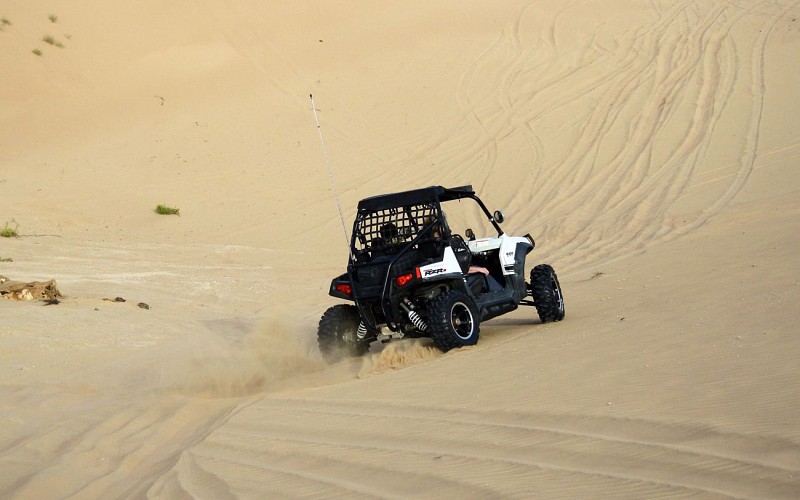 Morning Dune Buggy Safari
