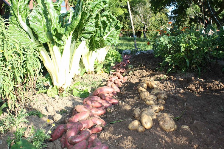 La ferme de Chosal
