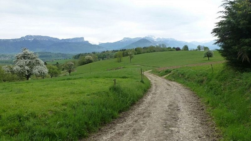 Aussichtspunkt : Hameau de la Mandallaz