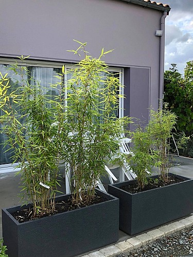 BROSSET ISABELLE ET JEAN-MARIE