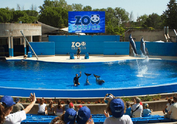 Madrid Zoo-Aquarium Ticket