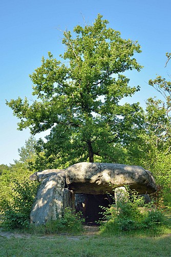 Dolmen de la Pierre Couverte