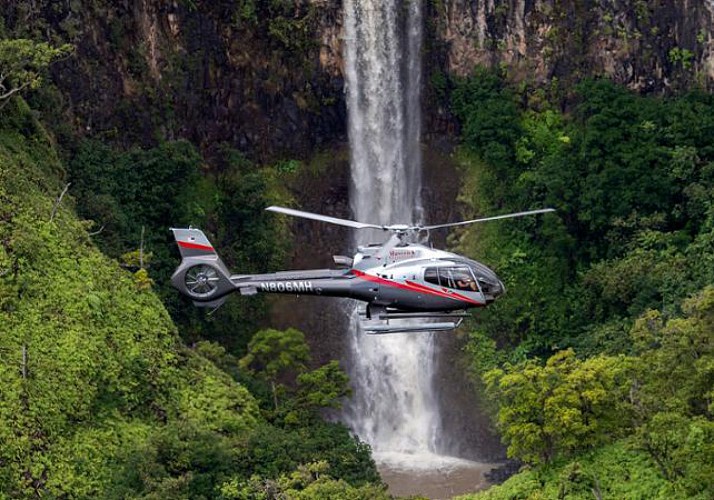 Vol en hélicoptère : Waimea Canyon et centre de l'île (25 mn) - Kauai