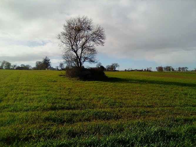 LE DOLMEN DE LA SALLE AUX FEES