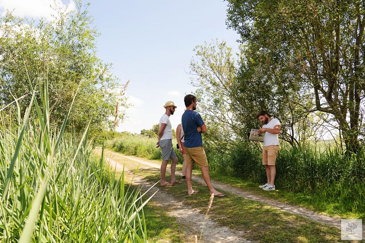 OBSERVATOIRE ORNITHOLOGIQUE DU LAC DE GRAND-LIEU