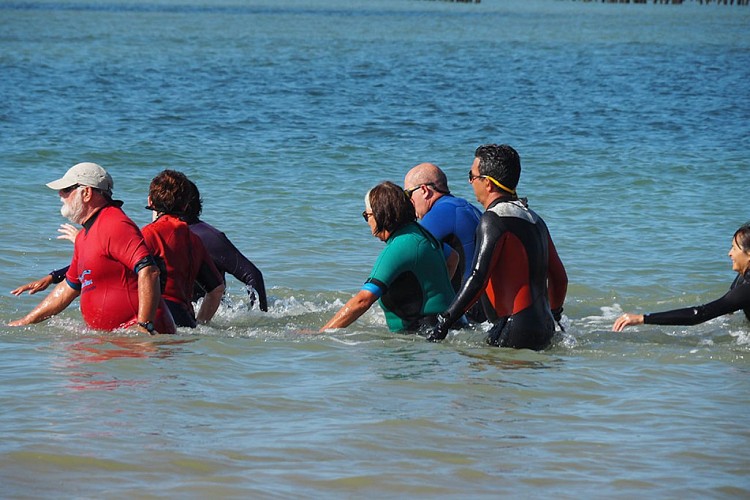 Marche aquatique côtière