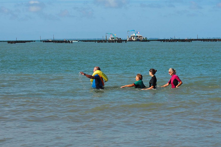 Marche aquatique côtière